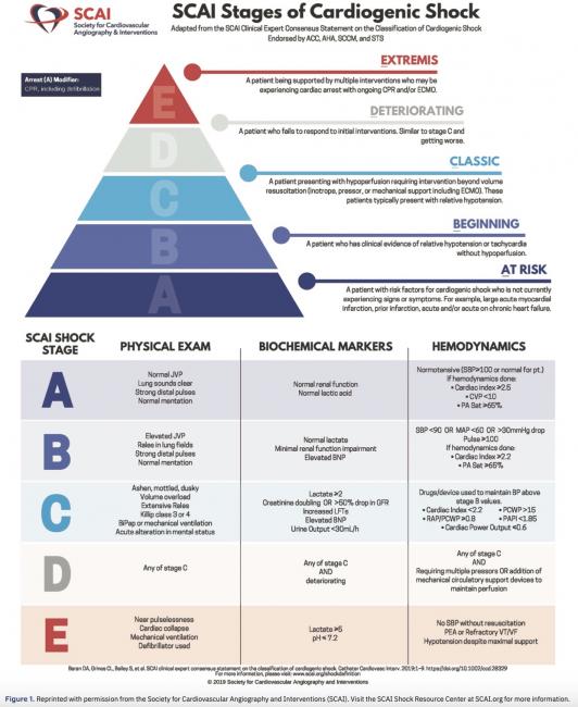SCAI Shock Stages are Predictive of Mortality Risk
